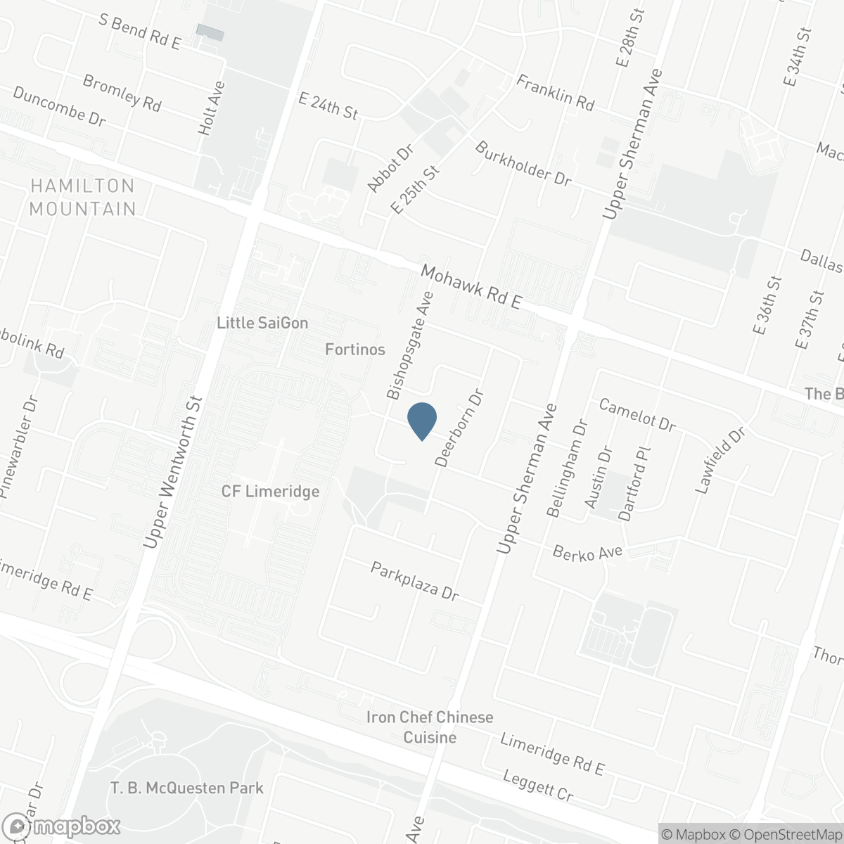 241 THORNER Drive, Hamilton, Ontario L8V 2M6